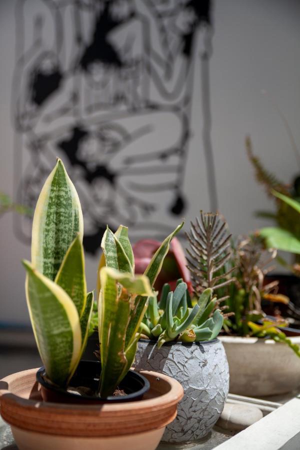 Memeraki Artist Residency Privatunterkunft